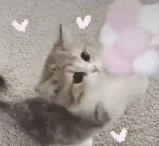 Sticker ' s𑄝fᴛ ↬ @wexsavi 👀🤍 ' - 7