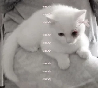 Sticker ' s𑄝fᴛ ↬ @wexsavi 👀🤍 ' - 6