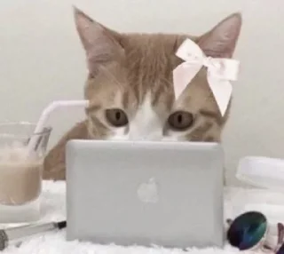 Sticker ' s𑄝fᴛ ↬ @wexsavi 👀🤍 ' - 3