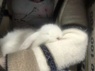 Sticker ' s𑄝fᴛ ↬ @wexsavi 👀🤍 ' - 0