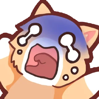 Стикер Котик @FemojiBot - 8