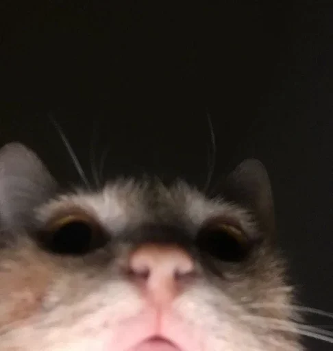 Sticker wgzemtsjek_by_e4zybot - 1