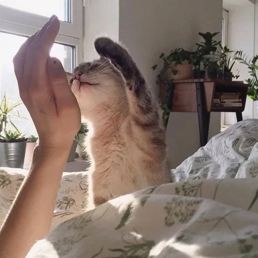 Sticker wgzemtsjek_by_e4zybot - 1