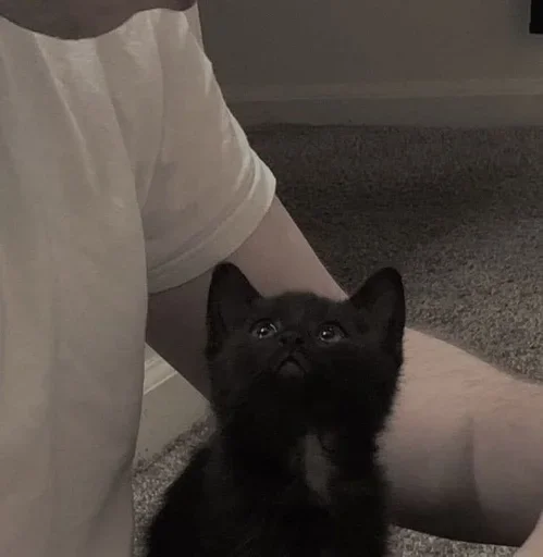 Sticker wgzemtsjek_by_e4zybot - 1