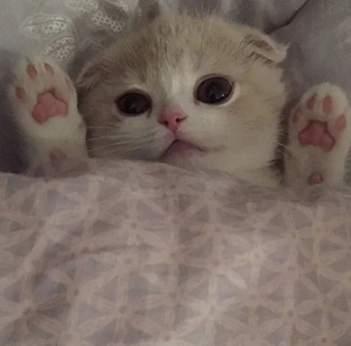 Sticker wgzemtsjek_by_e4zybot - 1