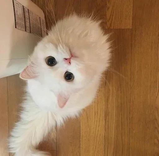 Sticker wgzemtsjek_by_e4zybot - 1