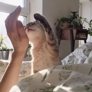 Sticker 💕 Стики тут: @Stickersloving - 10