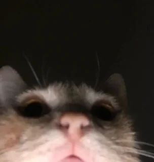 Sticker 💕 Стики тут: @Stickersloving - 11