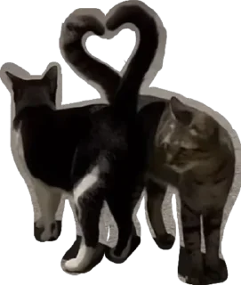 Стикер whatever - 5