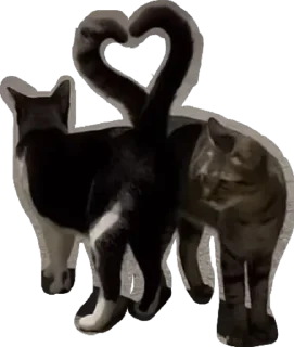 Стикер whatever - 3