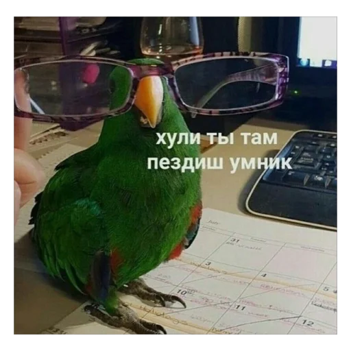 Sticker what3171 - 1