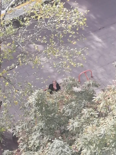 Sticker what_tf_a_stickerpack - 1