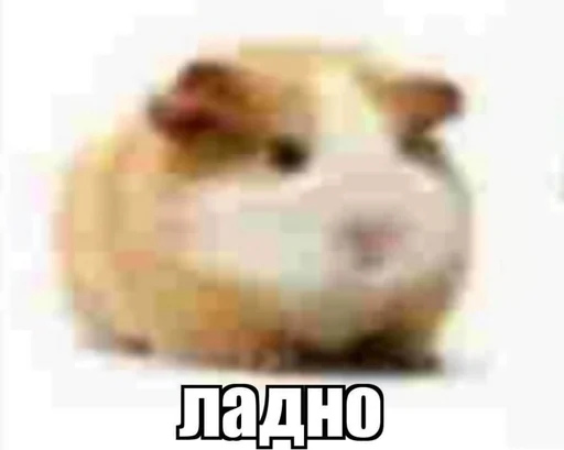 Sticker what_tf_a_stickerpack - 1