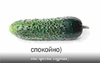 Sticker пиздец ну и хуйня - 1