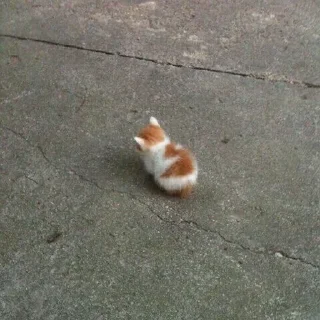 Стикер откуда здесь собаки - 9