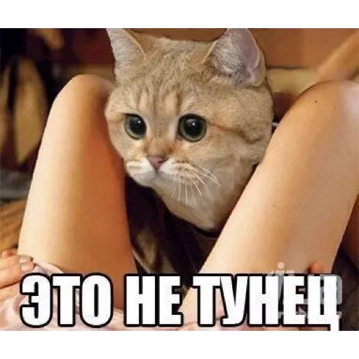 Sticker whatsapp260423 - 1