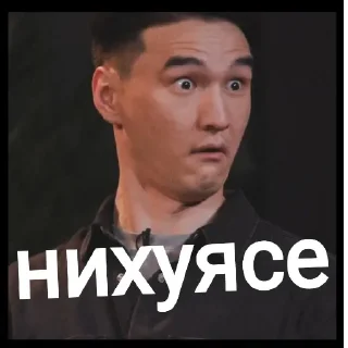 Sticker Bericpack - 5