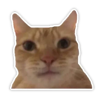 Стикер вацапские преколы - 9