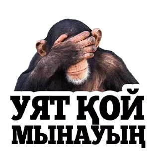 Стикер вацапские преколы - 0