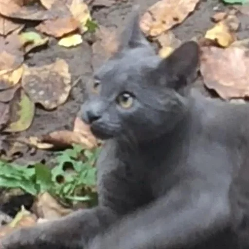 Sticker блин блять - 7