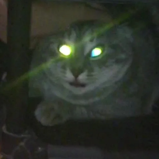 Sticker блин блять - 2