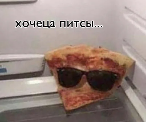 text sunglasses goggles