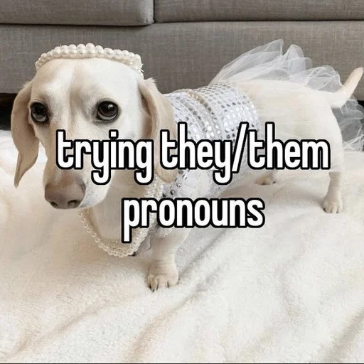 Стикер whetneychewston - 1