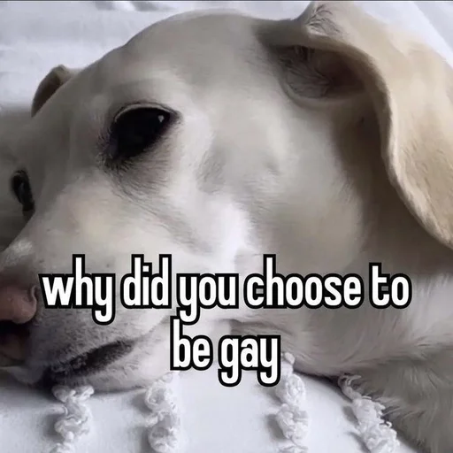 Стикер whetneychewston - 1