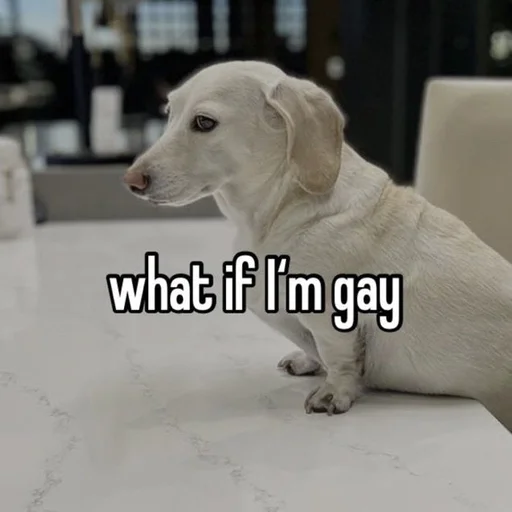 Стикер whetneychewston - 1