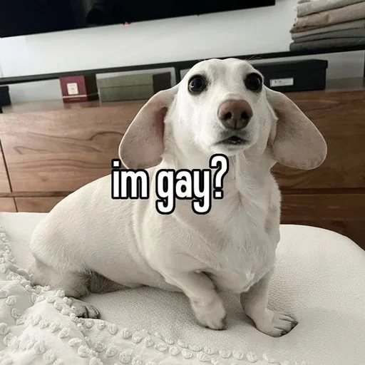 Стикер whetneychewston - 1