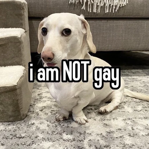 Стикер whetneychewston - 1