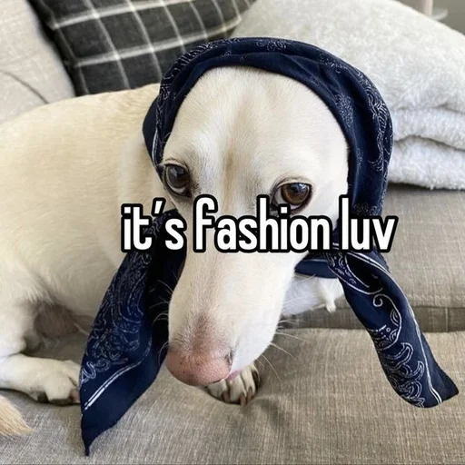 Стикер whetneychewston - 1