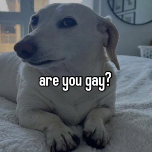 Стикер whetneychewston - 1