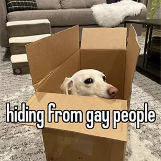 Стикер whetneychewston - 1