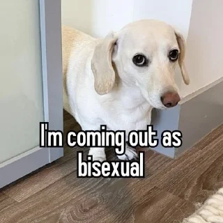 Sticker no lgbt - 10