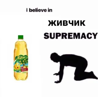 Sticker WHITEROSE - 3