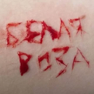 Sticker WHITEROSE - 4