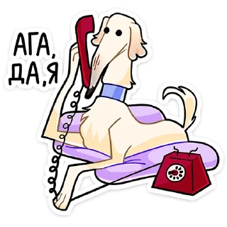 Стикер Белый • @TgSticker - 11