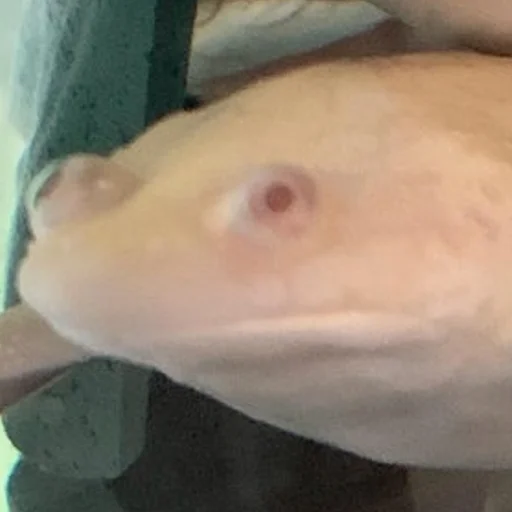 Sticker wholesomefrogs - 1