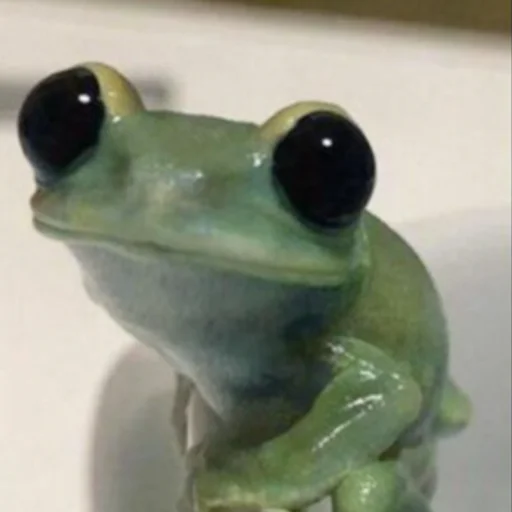 Sticker wholesomefrogs - 1