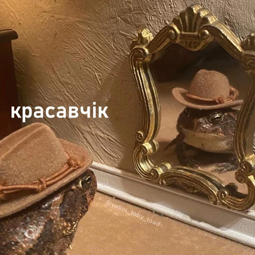 Sticker wholesomefrogs - 1