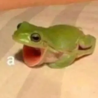 Sticker легушки - 2