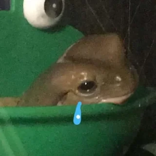 Sticker легушки - 10