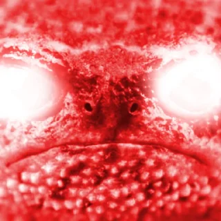 Sticker легушки - 8