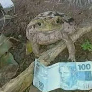 Sticker легушки - 0