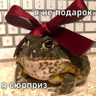 Sticker легушки - 9