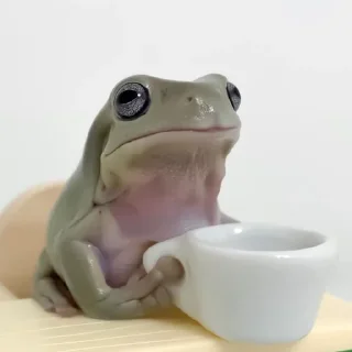 Sticker легушки - 11