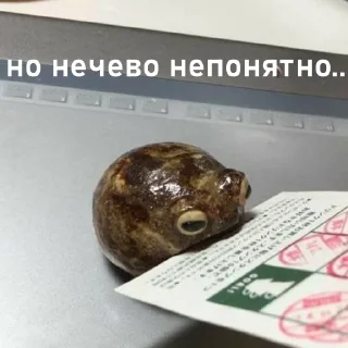 Sticker легушки - 7