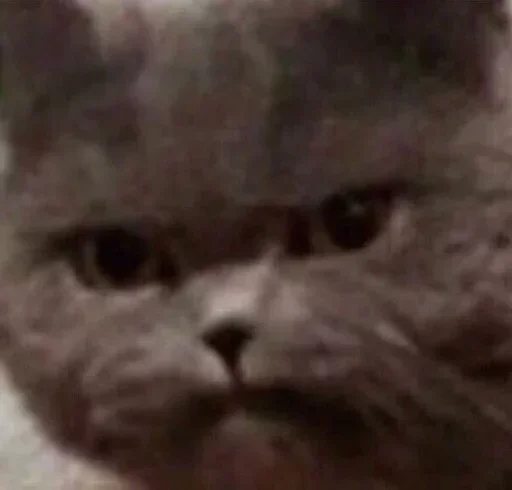 Sticker ВХУУУУРЕ by @fStikBot - 11