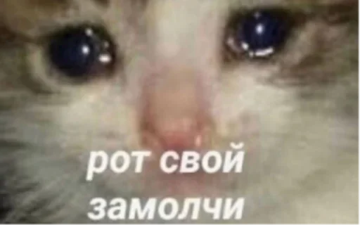 Sticker ВХУУУУРЕ by @fStikBot - 2